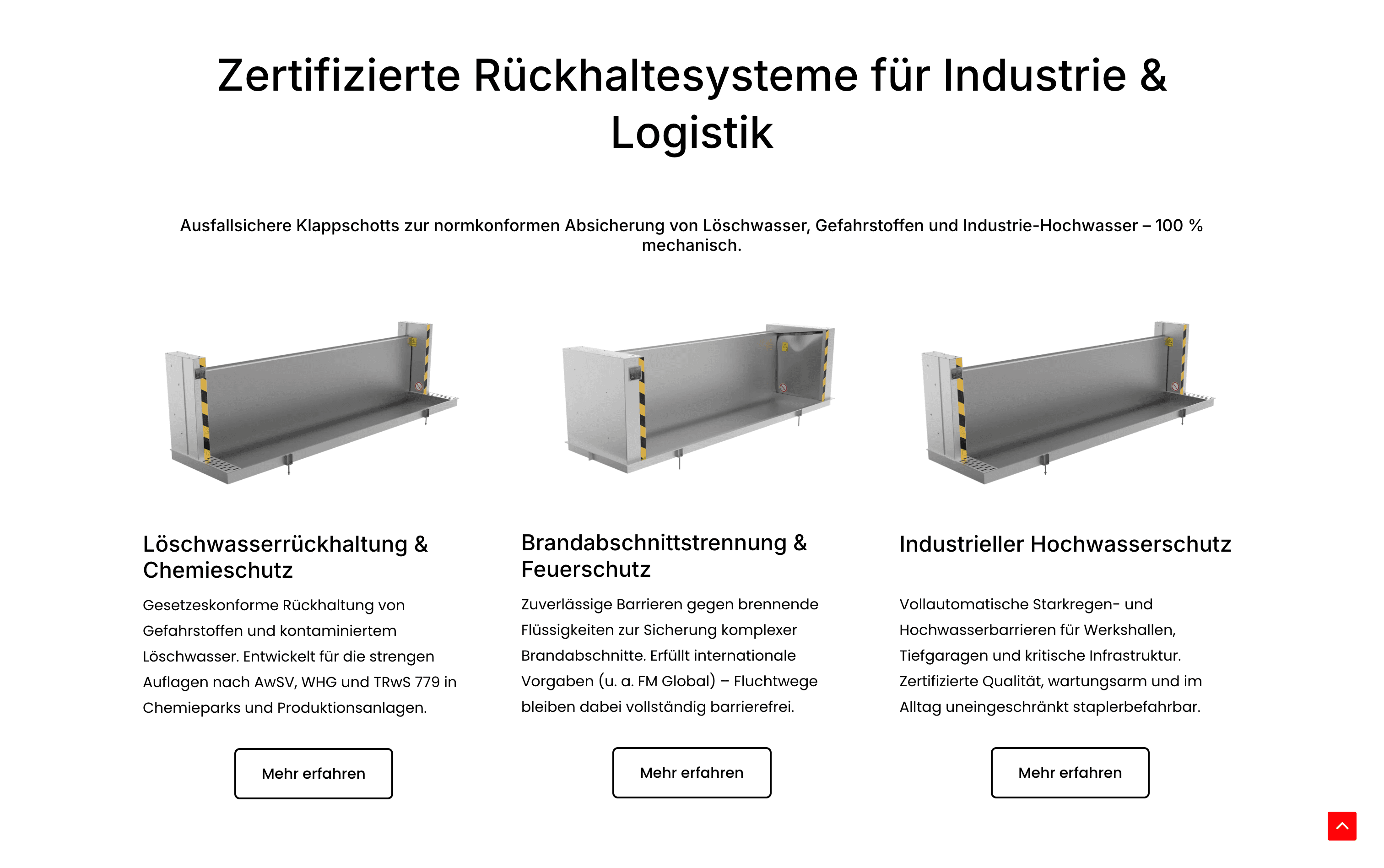 Thumbnail for Anhamm website products view