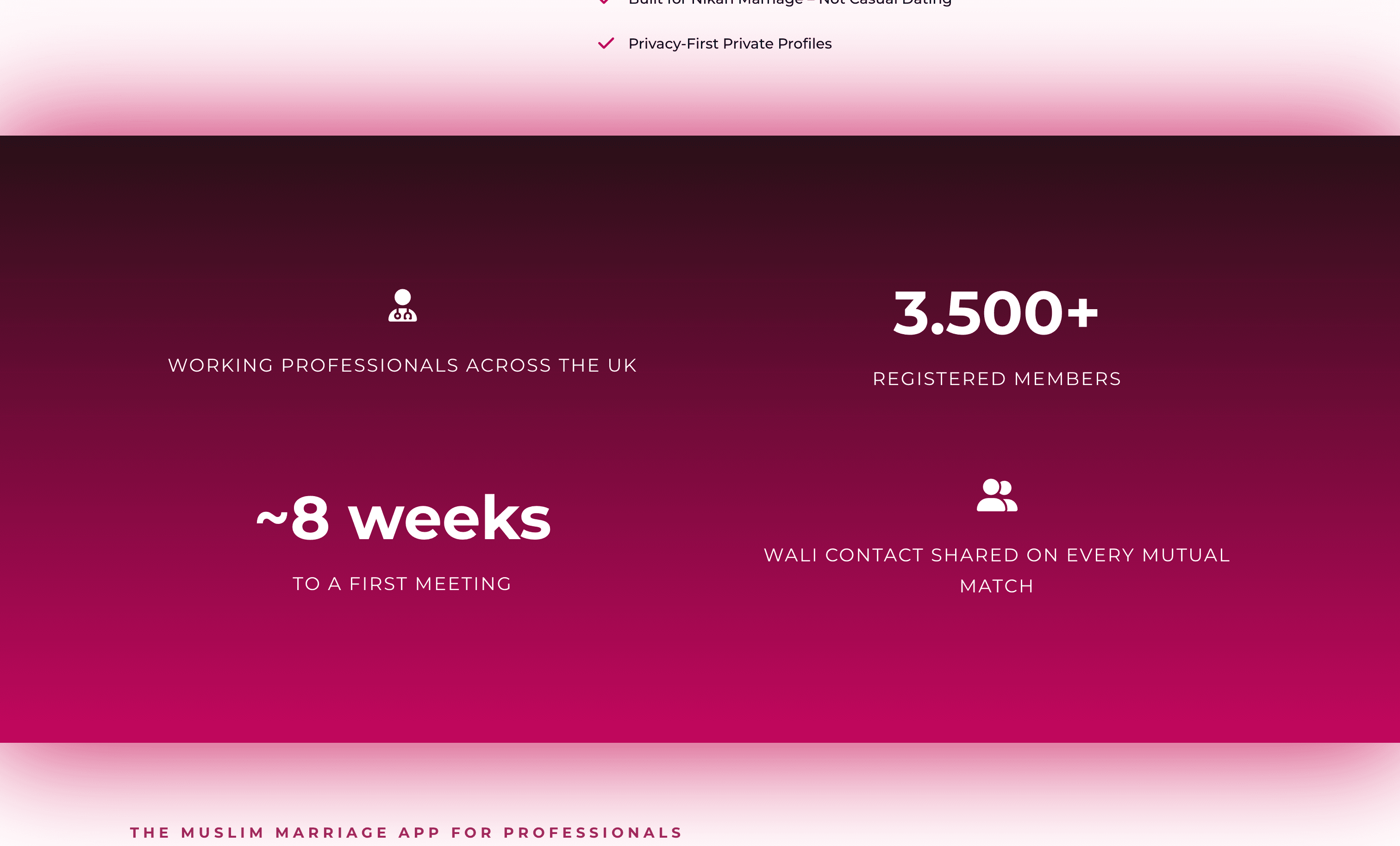 Thumbnail for Healthy Nikah website screenshot 2