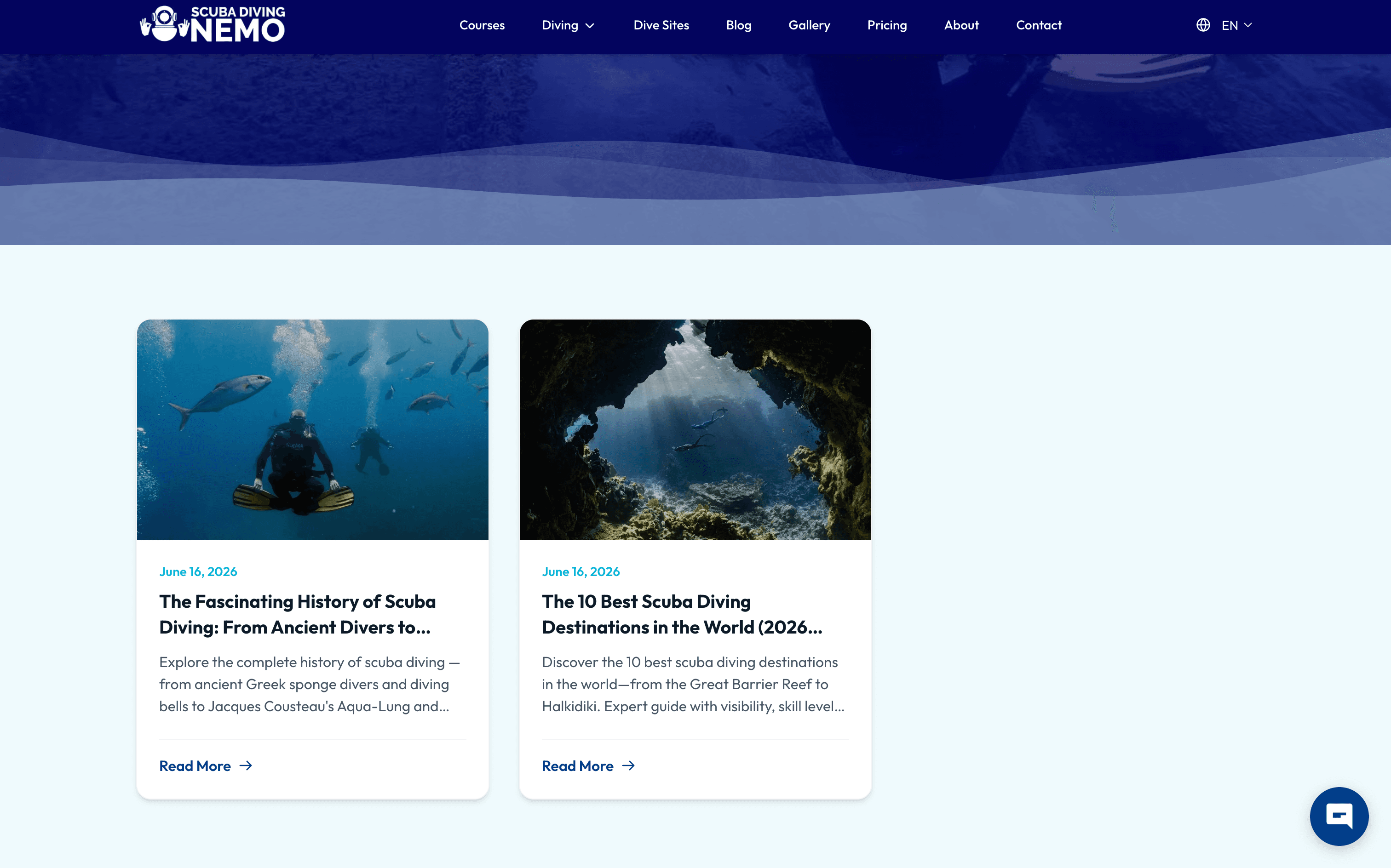 Scuba Diving Nemo SEO visibility growth