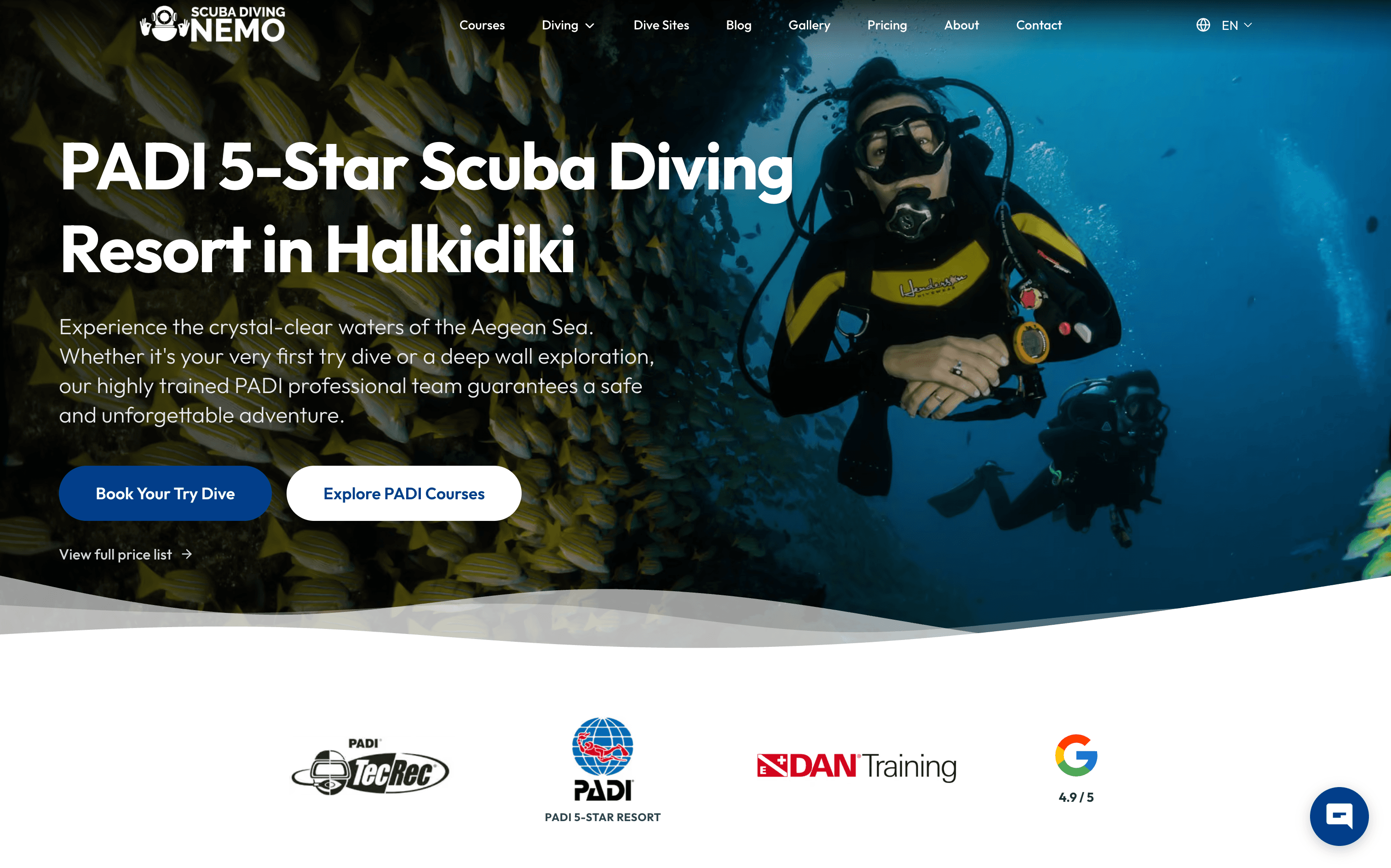 Scuba Diving Nemo custom website homepage
