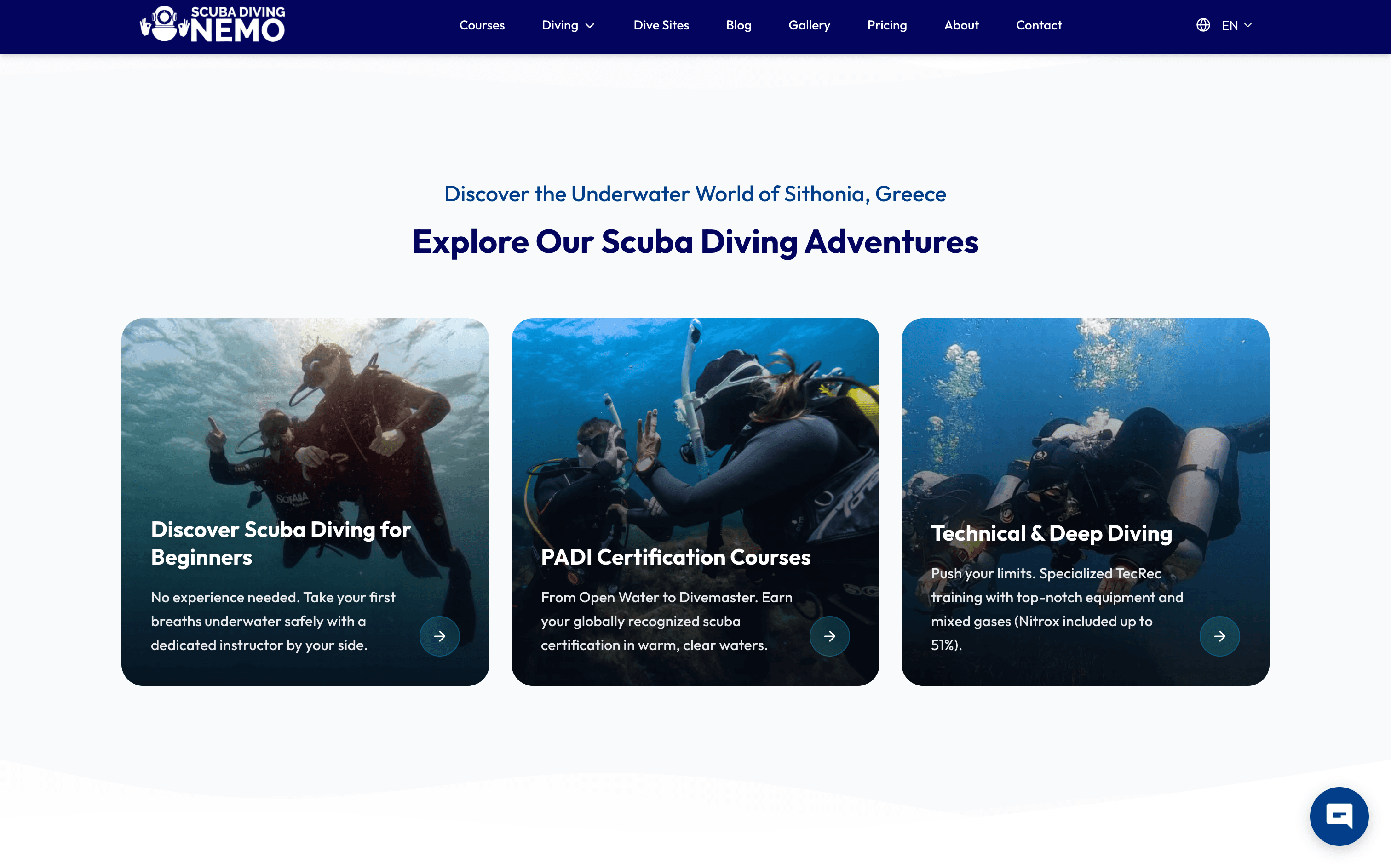 Thumbnail for Scuba Diving Nemo website design detail